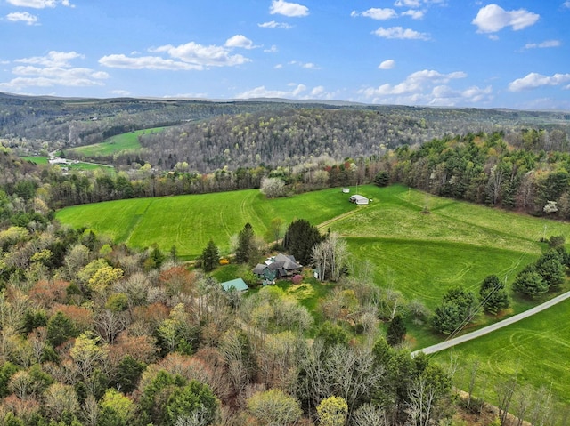 157 Shelmire Rd, Wellsboro, PA 16901 - aerial view featuring a rural view and a forest view