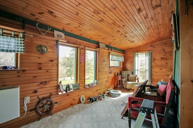 157 Shelmire Rd, Wellsboro, PA 16901 - living area featuring lofted ceiling, carpet floors, wood walls, and wooden ceiling