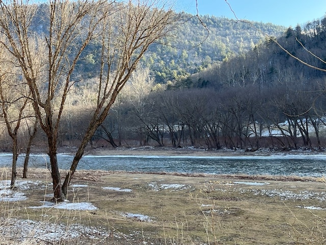 view of water feature featuring a wooded view