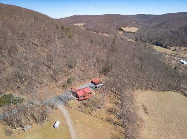 204 Peifer Ln, Tioga, PA 16946 - photo 51