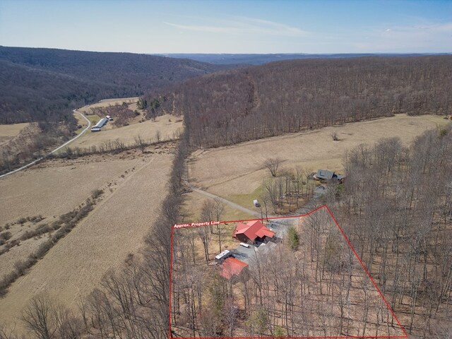204 Peifer Ln, Tioga, PA 16946 - photo 54
