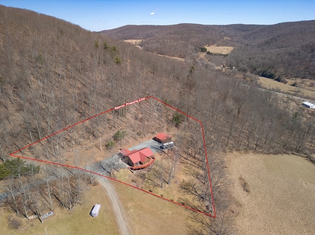 204 Peifer Ln, Tioga, PA 16946 - photo 52