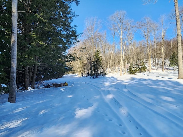 1 Town Line Rd, Coudersport PA, 16915 land for sale