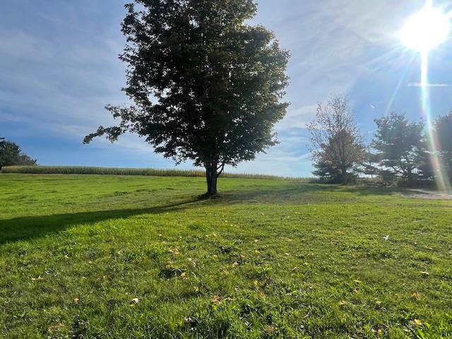 view of yard with a rural view