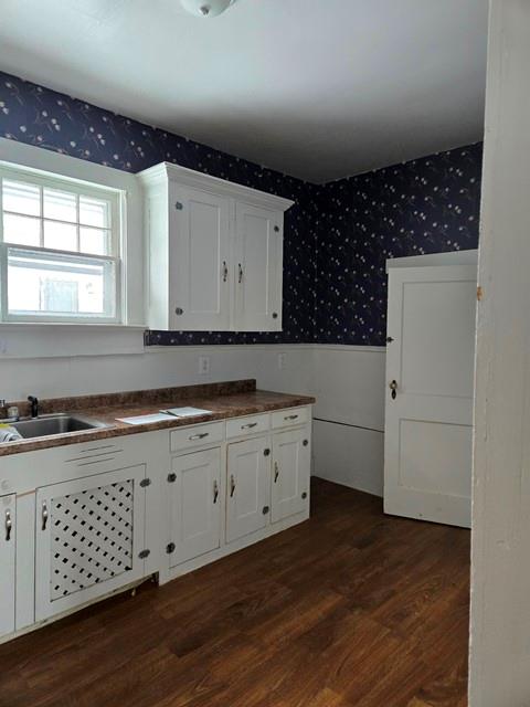 kitchen with dark hardwood / wood-style floors, white cabinets, and sink