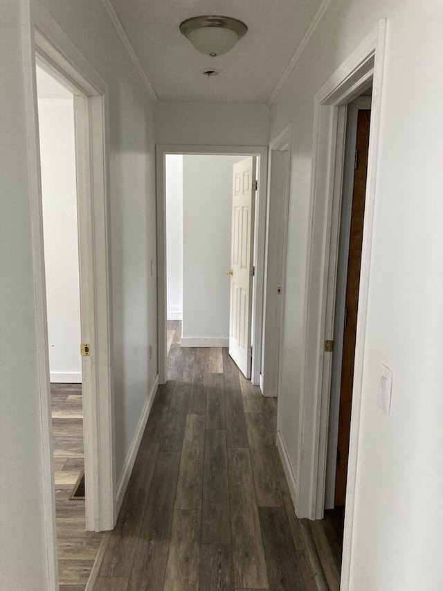 hall featuring dark wood-type flooring and ornamental molding