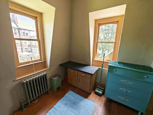 440 Park Ave, Waverly, NY 14892 - misc room featuring radiator heating unit and wood finished floors