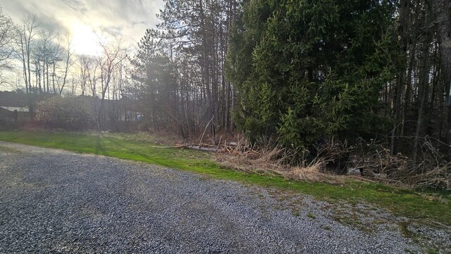 8065 Rte 414, Liberty, PA 16930 - view of street