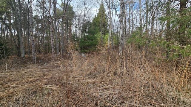 8065 Rte 414, Liberty, PA 16930 - view of landscape