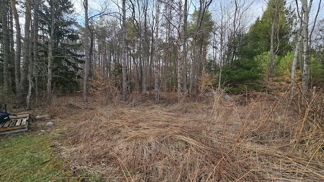 8065 Rte 414, Liberty, PA 16930 - view of local wilderness