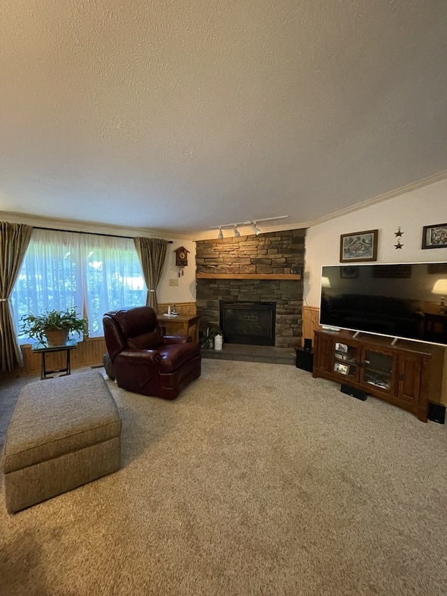 carpeted living room featuring a textured ceiling and a stone fireplace