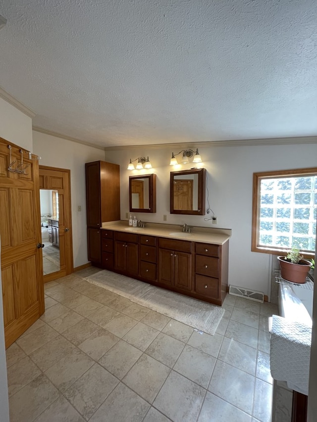 bathroom featuring crown molding, vanity, and a textured ceiling