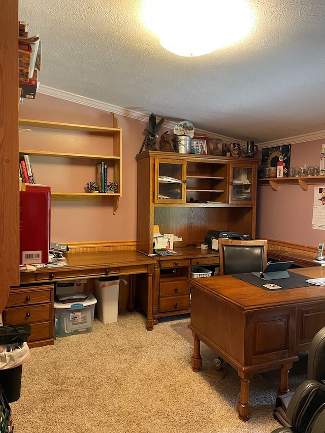 office space with carpet flooring, a textured ceiling, and ornamental molding