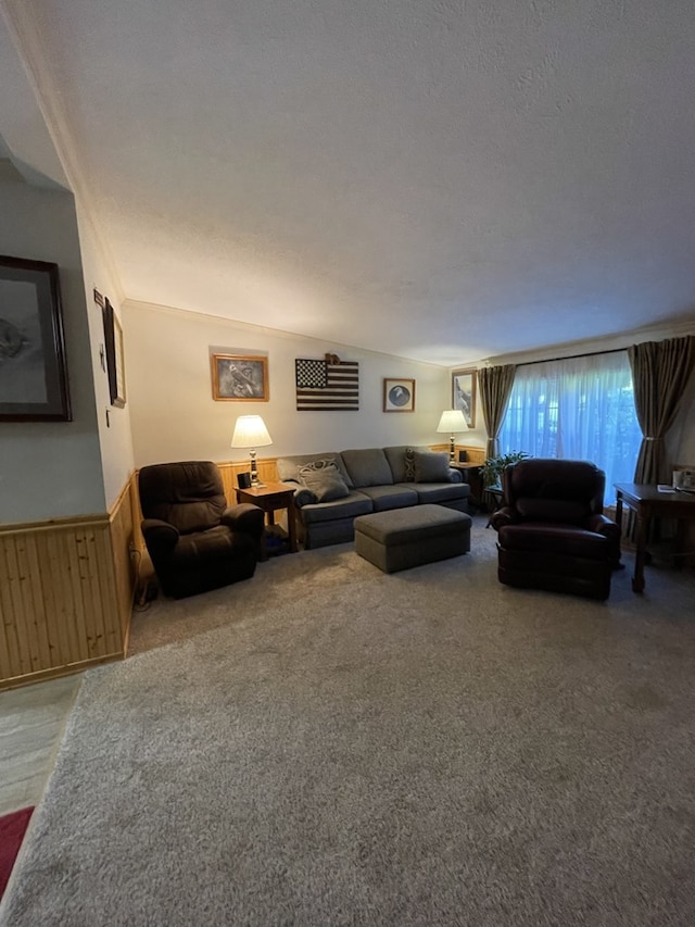 living room featuring carpet flooring and a textured ceiling