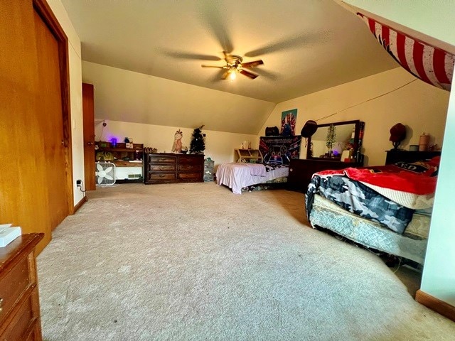 19 Angel Trl, Duke Center, PA 16729 - carpeted bedroom with lofted ceiling and ceiling fan