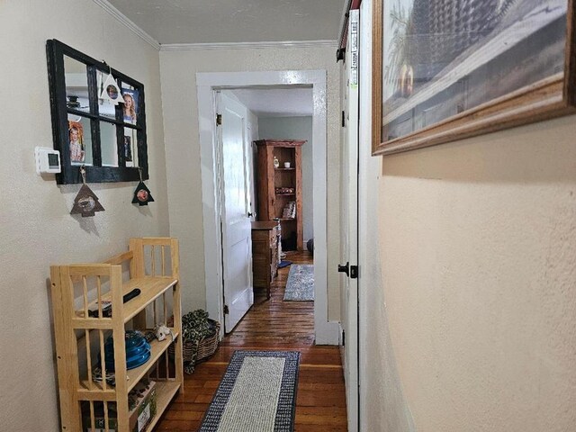 409 E Main St, Elkland, PA 16920 - corridor with dark wood-style flooring and crown molding