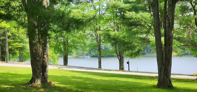 91 Lakeside Dr, Sayre, PA 18840 - photo 8
