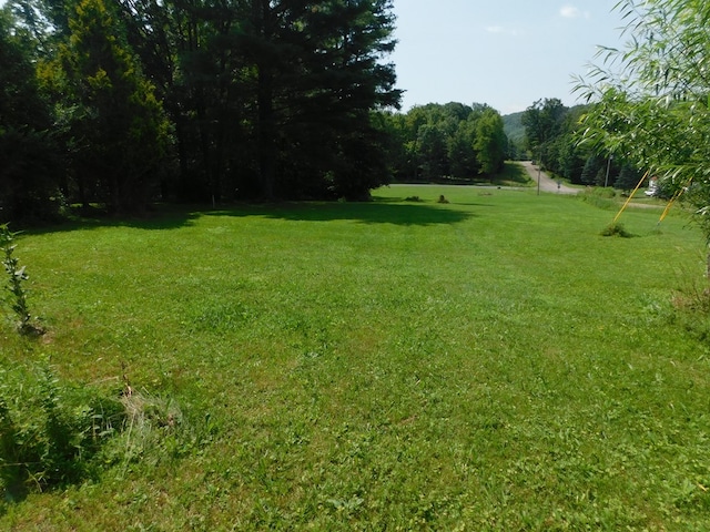 91 Lakeside Dr, Sayre, PA 18840 - photo 5