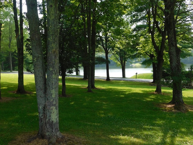 91 Lakeside Dr, Sayre, PA 18840 - photo 4