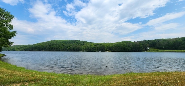 91 Lakeside Dr, Sayre, PA 18840 - photo 9