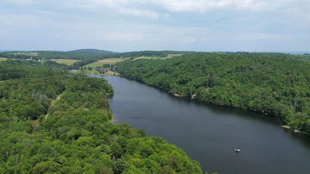 91 Lakeside Dr, Sayre, PA 18840 - photo 6
