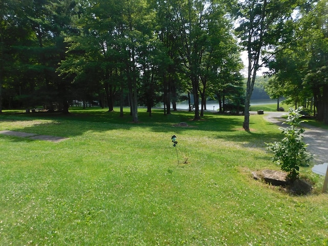 91 Lakeside Dr, Sayre, PA 18840 - photo 3