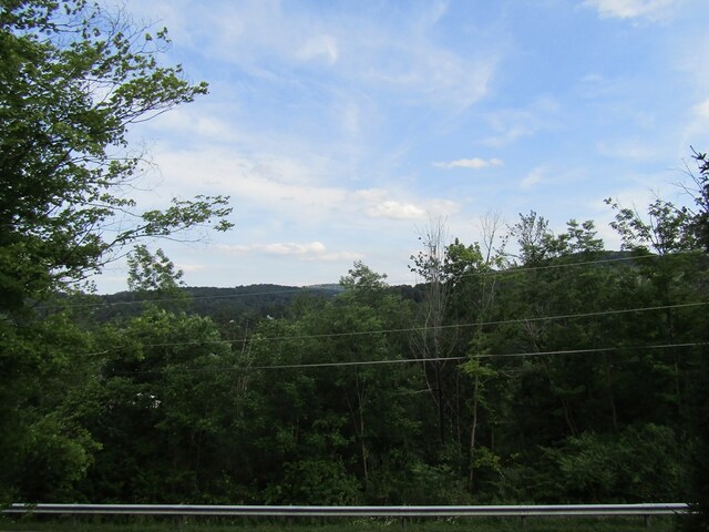 18 Highland St, Wellsboro, PA 16901 - photo 31