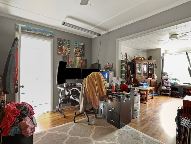 4 Pine St, Waverly, NY 14892 - office area featuring ceiling fan, ornamental molding, and wood finished floors
