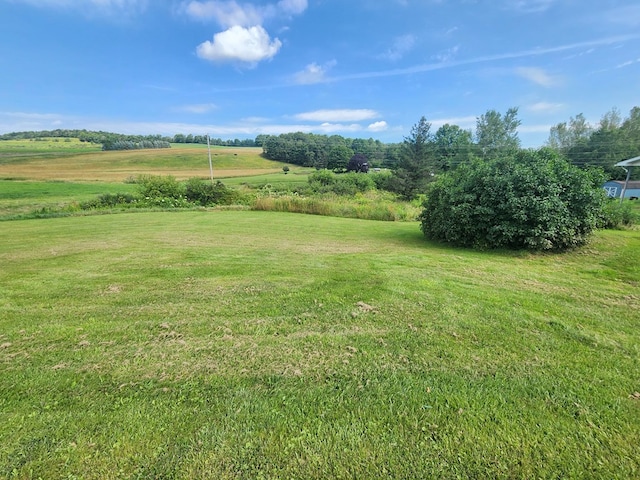 view of yard with a rural view