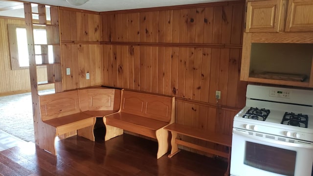 interior space featuring dark hardwood / wood-style flooring and wood walls