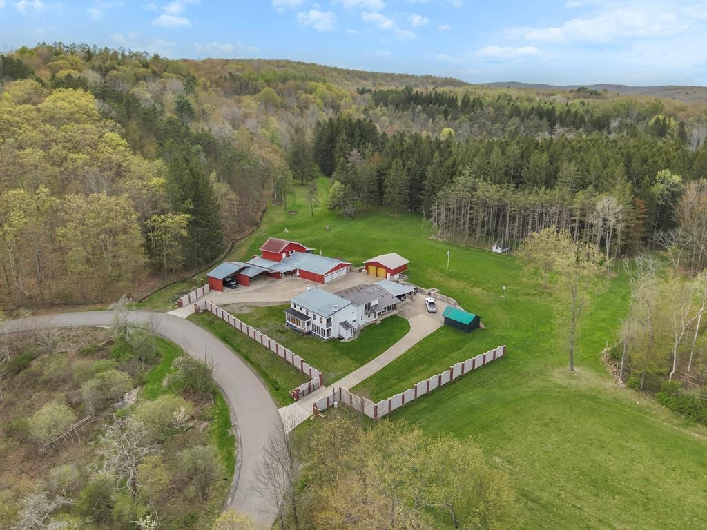 147 Campbell Hill Rd, Lockwood, NY 14859 - birds eye view of property with a view of trees