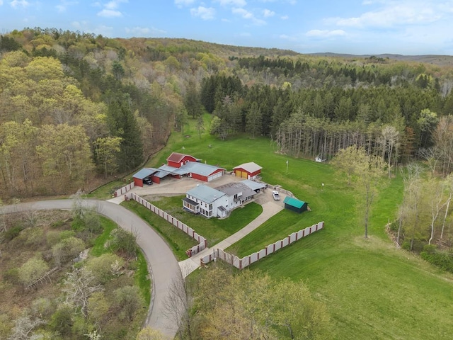 147 Campbell Hill Rd, Lockwood, NY 14859 - birds eye view of property with a view of trees