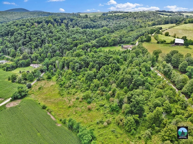 aerial view with a rural view