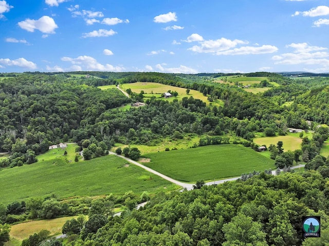 aerial view with a rural view