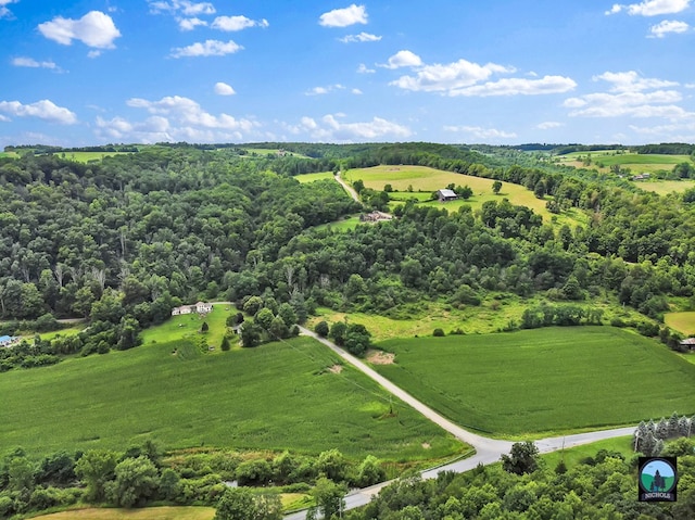 bird's eye view featuring a rural view