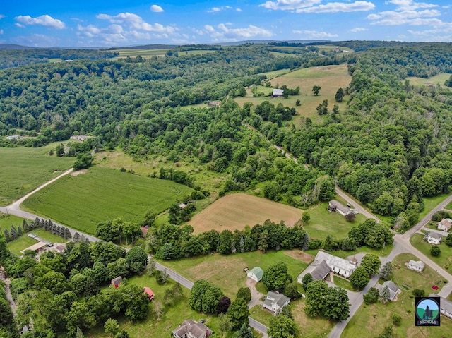 drone / aerial view featuring a rural view