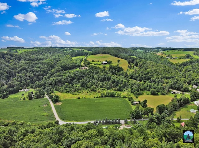 drone / aerial view with a rural view