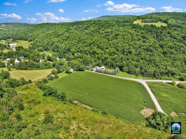 bird's eye view featuring a rural view