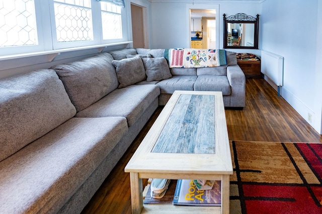 living room with radiator heating unit and dark hardwood / wood-style flooring