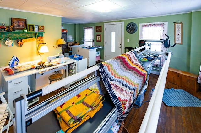 interior space with ornamental molding, dark wood-type flooring, and a healthy amount of sunlight