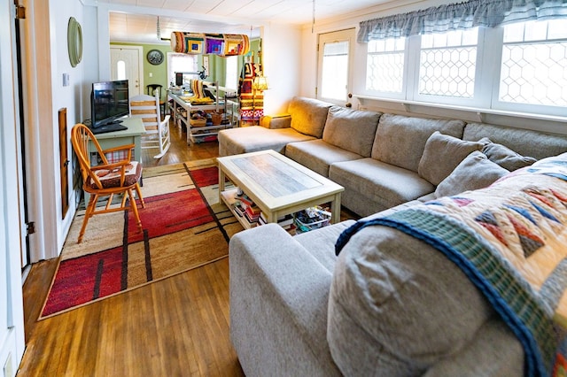 living room featuring hardwood / wood-style floors and ornamental molding