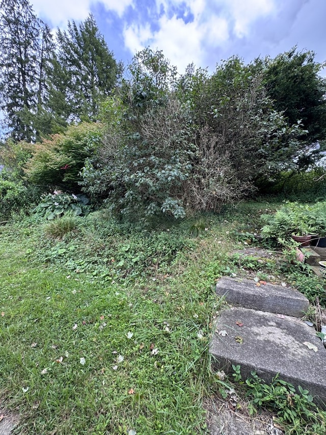320 Main St, Hazelhurst, PA 16733 - photo 42