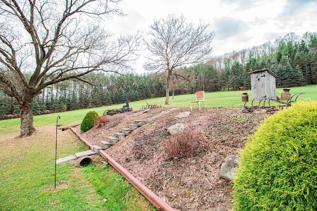 view of yard with a storage shed