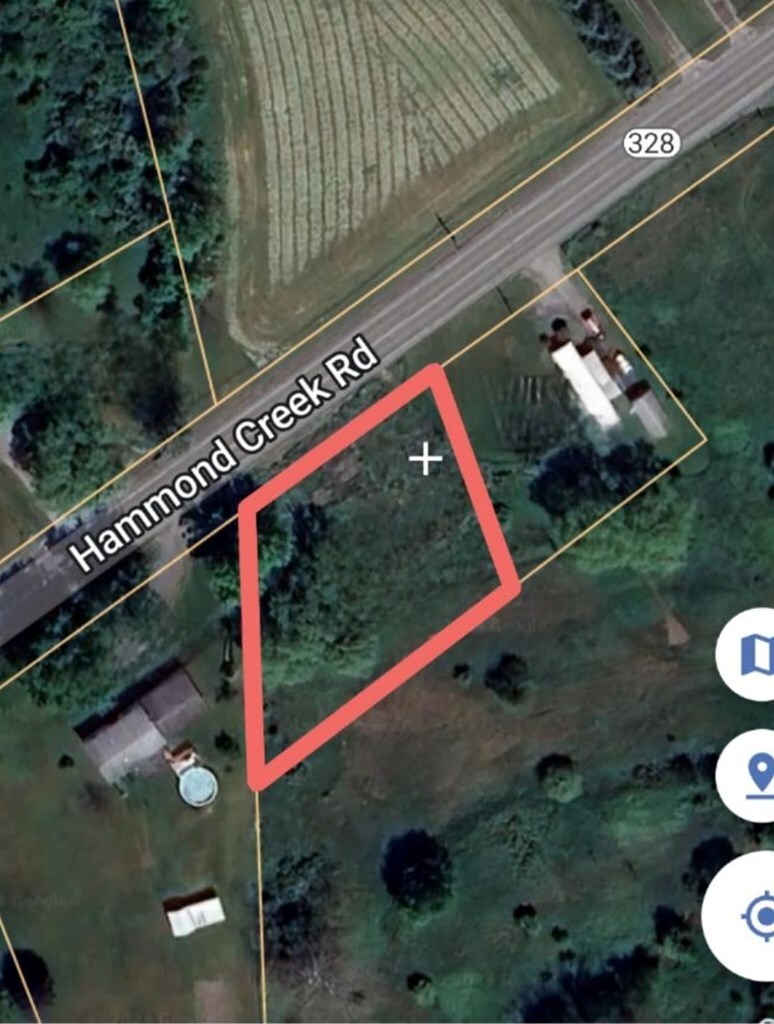 6592 Rte 328, Millerton, PA 16936 - photo 3