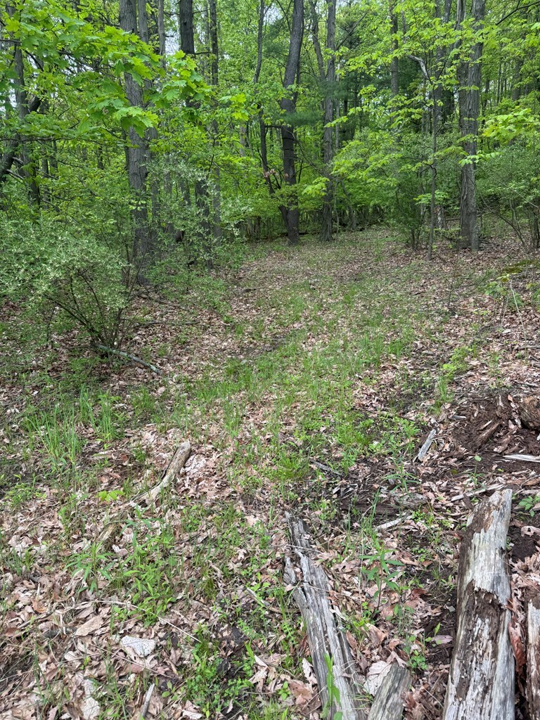 0 Orange Hill Rd, Athens, PA 18810 - photo 4