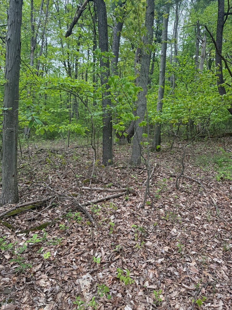 0 Orange Hill Rd, Athens, PA 18810 - photo 2