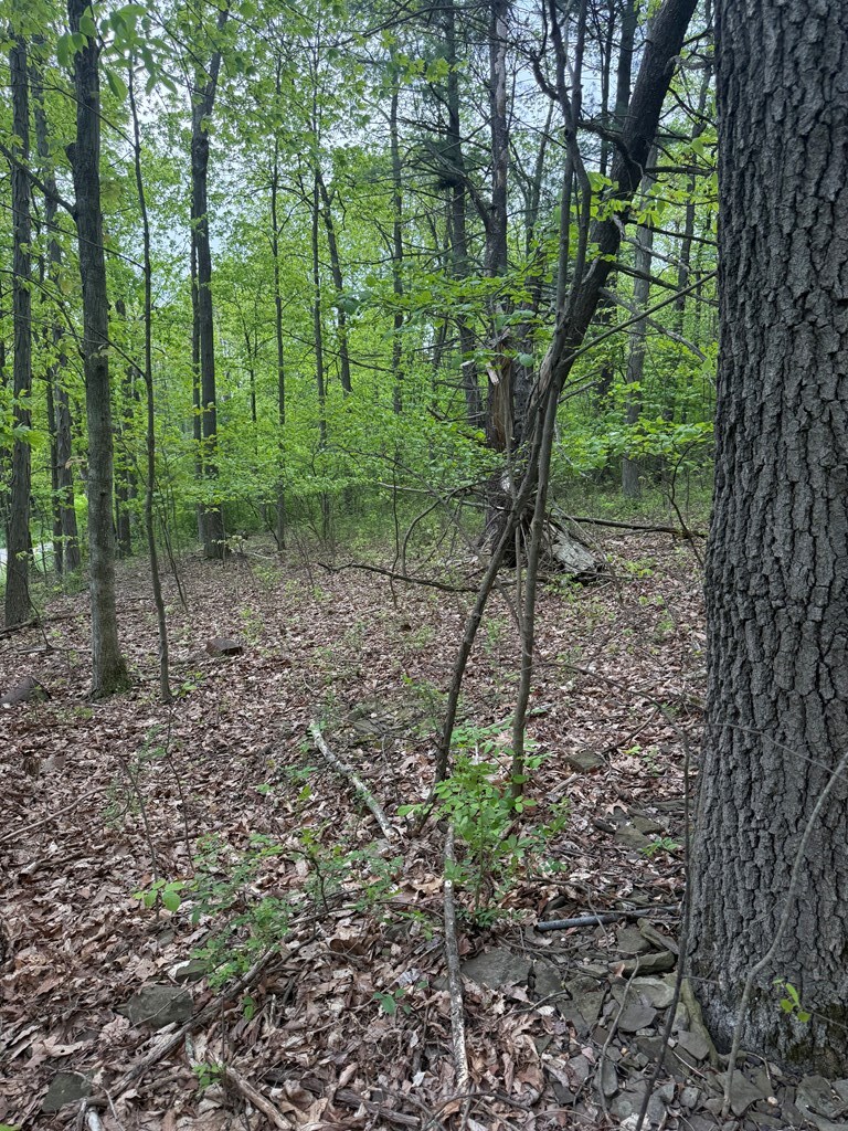 0 Orange Hill Rd, Athens, PA 18810 - photo 3