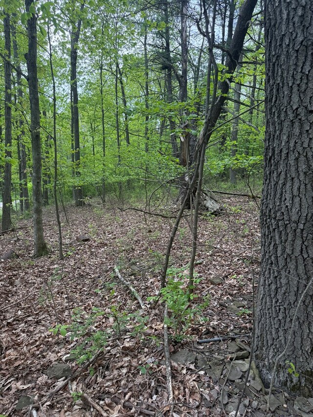0 Orange Hill Rd, Athens, PA 18810 - photo 3