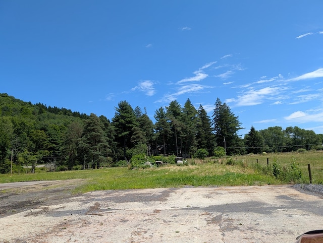478 E 2nd St, Coudersport, PA 16915 - photo 10