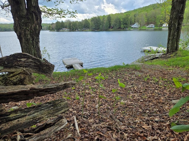 118 Milton Ln, Warren Center, PA 18851 - water view with a heavily wooded area